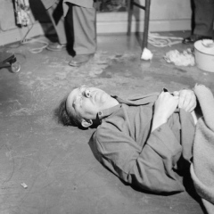 Sutton, L - Suicide Heinrich Himmler, May 1945